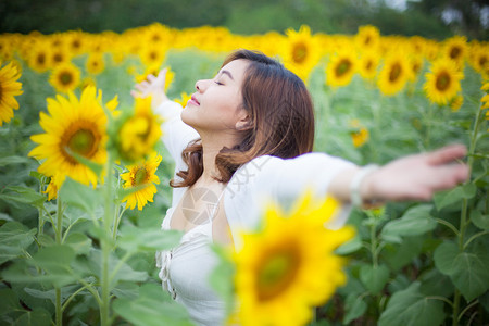 向日葵田中的年轻亚洲女孩图片