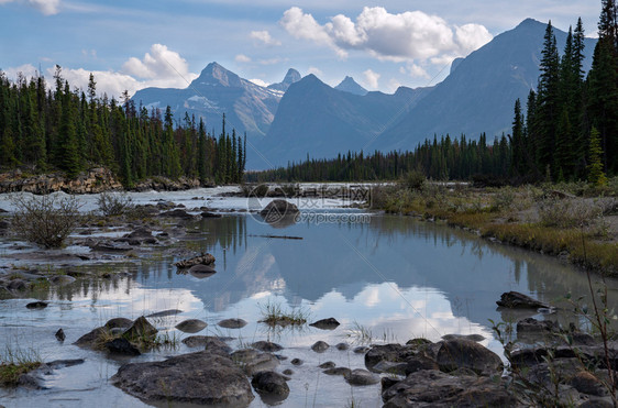 自然旅游加拿大艾伯塔州洛基山脉贾斯珀公园阿塔巴斯卡河全景图像溪流图片