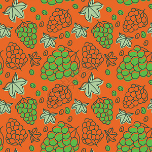 插图向量夏天手画新鲜的白莓多彩矢量素描背景彩色面条壁纸绿和橙印刷品图片