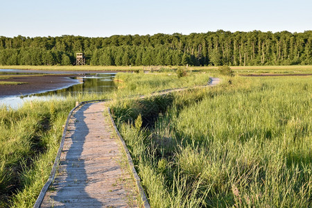 库尔曼景观穿过奥兰德岛的西自然保护区贝杰尔汉姆Beijershamn的一个湿地塔图片