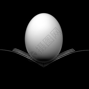 曲线最小的铬合金两条叉子背影和蛋几何对称线工作室用鸡蛋拍摄福克斯图片
