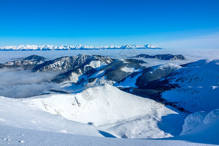 冬季雪景风光图片