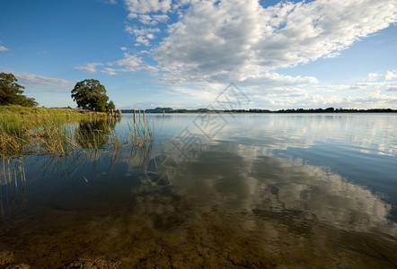 澳大利亚新南威尔士州Bowral附近温盖卡里比达大坝海岸一幕植物群景观自然图片
