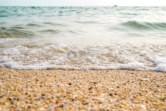 户外棕色的黄热带海滩有浪蓝云和黄昏的金色沙滩图片