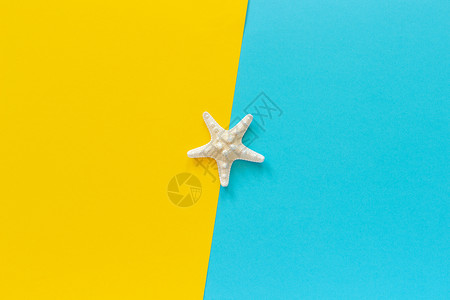 简单的蓝色和黄纸背景上的一只海星最小样式用于刻字文本或设计的复制空间模板创意顶视图蓝色和黄纸背景上的一只海星创意顶视图热带抽象的图片