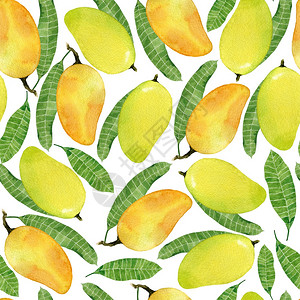 越南芒果水彩热带无缝图案与黄色芒果实和叶子手绘插图在白色背景越南水果上分离彩无缝图案与黄色芒果实和叶子越南语猫白色的插画