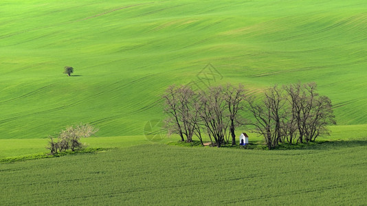 圣芭拉的美丽春天风景教堂与海浪相伴的田野莫拉维安托斯卡尼MoraviavianToscany捷克基约夫爬坡道线条图片