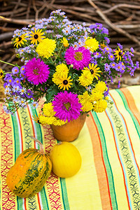 南瓜收获有机蔬菜明亮的秋天颜色背景南瓜收获有机蔬菜明亮的秋天颜色假期十一月植物图片