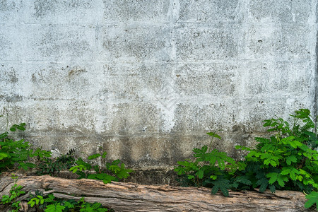 自然肮脏的细节工业建筑和绿色草场背景复制空间中白砖水泥石壁摘要的纹理Name原样图片