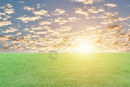 绿草和日落天空背景自然地貌观土农业抽象的图片