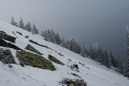 下雪温度乡村的山冬季风景坡上雪覆盖的雨林图片