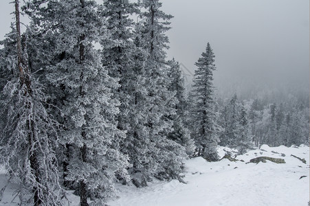 冬季雪景风光图片