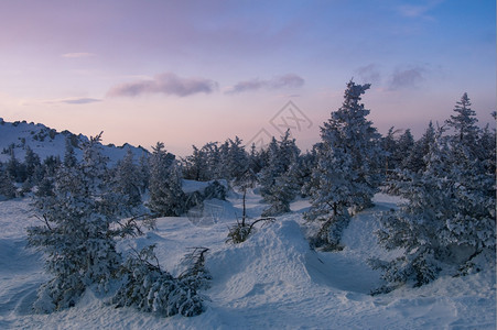 山冬季风景坡上雪覆盖的雨林树旅行季节图片