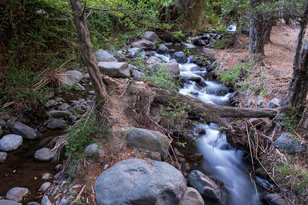 树木流动的塞浦路斯Troodos的Kakoopetria森林中流过岩石山地的纯净水流缓慢给人造成顺流印象镇定图片