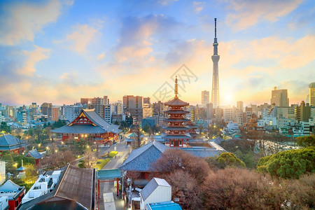 神社东京天际之景日本落黄昏时与森素济寺和东京天树相见风景吸引力图片