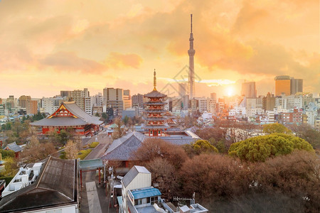 东京风景宝塔东京天际之景日本落黄昏时与森素济寺和东京天树相见神社宗教背景