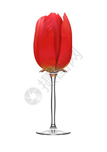 图利普式葡萄酒玻璃爱情人节日系列3D孤立物体象征礼郁金香风格图片