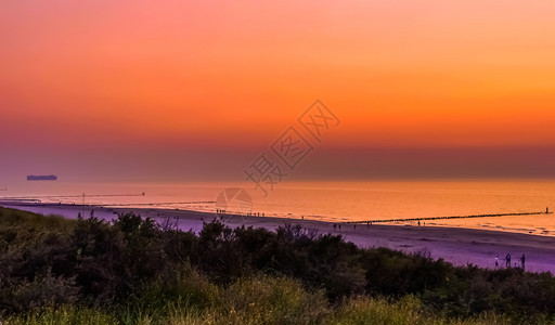 西兰多姆堡沙丘日落时在海滩观望泽兰内地季节点图片
