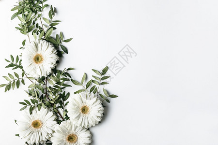 顶视图白色雏菊分辨率和高品质美丽照片高品质和分辨率美丽照片概念盛开墙纸高的图片