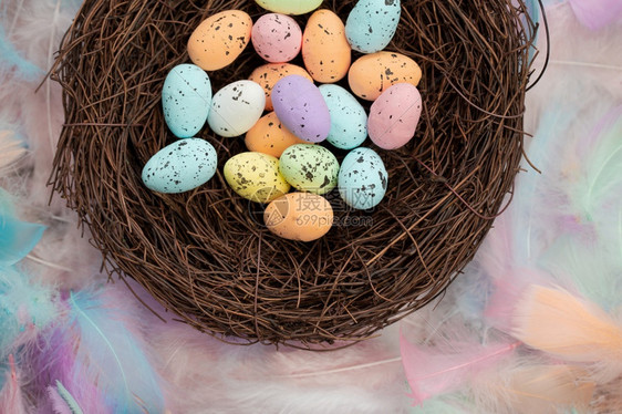 展示五颜六色的柔和彩复活节蛋在birdrsquos巢顶视图与明亮的羽毛顶视图四月复活节假日宗教和春天概念背景关闭五颜六色的柔和彩图片