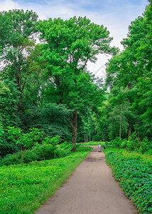 20年6月日胡同乌克兰比拉策尔瓦BilaTserkva亚历山大公园是乌克兰最美丽著名的阿尔伯里图姆之一在乌克兰比拉采尔瓦Bila图片
