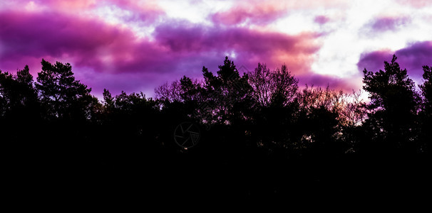 氯珠光的天空中罕见冬季天气现象粉红和紫极平流层云森林地貌背景暮图片