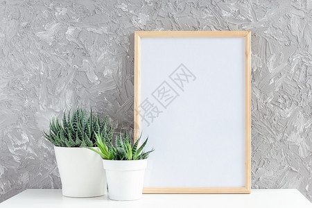 复制木垂直白色空框架和灰混凝土墙背景上桌子的白色花盆中两朵天然多肉植物为您设计的样机模板仙人掌干净的图片