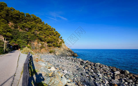 瓦拉泽与科戈莱托之间的利古里安海岸在著名的欧洲水边公路左仅步行或骑自车热那亚红色的意大利图片