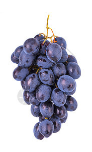 黑暗的食物在白色背景上分离的新鲜蓝色葡萄在白背景上分离的新鲜蓝色葡萄黑的图片