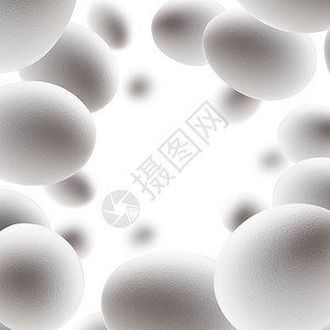 白鸡蛋漂浮在色背景上鸡蛋漂浮在色背景上营养椭圆形最佳图片