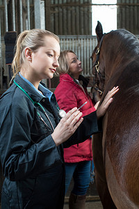 考试年轻的注射器向稳定马匹注射女输血图片