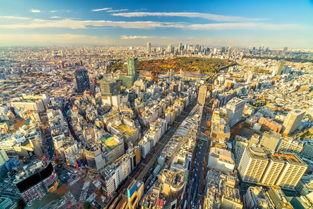 现代的全景黄昏日本落时东京市天际新宿和涉谷地区的顶景图片