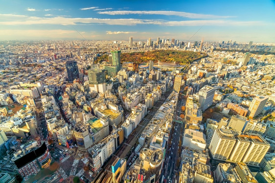 现代的全景黄昏日本落时东京市天际新宿和涉谷地区的顶景图片