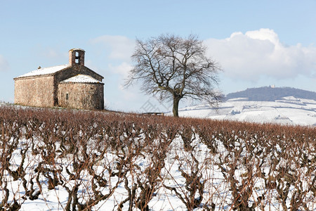 粗鲁地山冬季法国Beaujolais圣皮埃尔小教堂的风景观寒冷图片