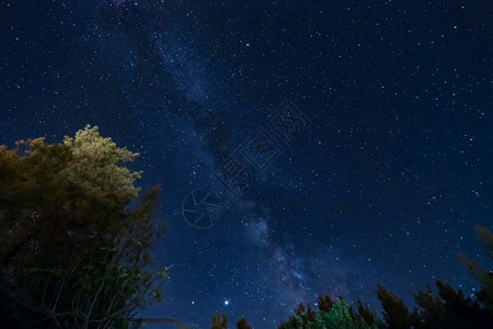 乳白色星系自然Troodos山脉森林上空的银河系照片夺取塞浦路斯Kakopetria村图片