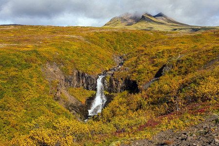 斯堪的纳维亚语峡谷落下冰岛的斯瓦尔蒂弗由黑色玄武岩熔六角柱环绕的戏剧瀑布图片
