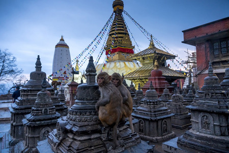 金的Swayambhunahath或猴子寺庙是尼泊尔加德满都一座山丘上的古老宗教建筑斯瓦扬布纳特眼睛图片