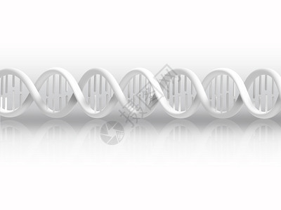 白DNA片段科学股生物图片