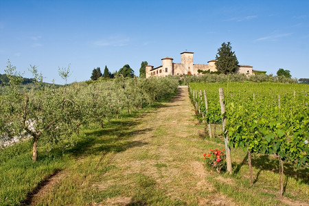 别墅意大利地区典型貌托斯卡纳翁布里亚植物图片