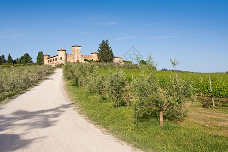 农村欧洲意大利地区典型貌托斯卡纳城堡图片