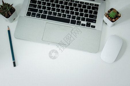 白色背景平地上的顶端电脑笔记本和铅仙人掌键盘商业设计师图片