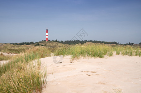 环境景点生态系统德国灯塔的Amrum沙丘全景图象图片