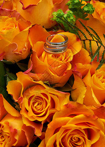 美丽的季节颜色带有玫瑰和戒指的婚礼花束图片