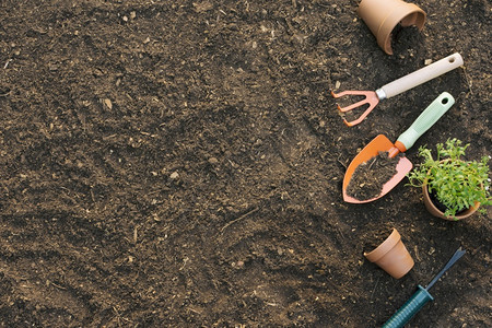 移植具有物土壤溶解和高质量美丽摄影工具及植物土壤的优质和分辨率美照片工具的锅炉高质量和清晰漂亮照片概念红陶美丽的图片