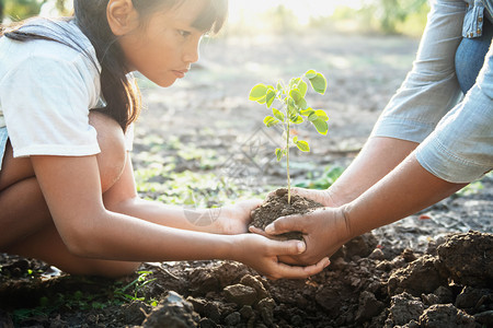 春天儿童和母亲帮助植树幼生态概念自然森林图片