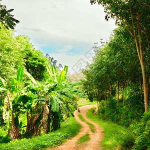 阳光云泰国夏日丛林中的群山路场景图片