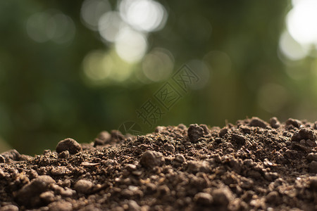 环境的灰尘种植物土壤氮图片