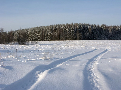 冷冻寒的俄罗斯森林边缘的野外冬季雪露节图片