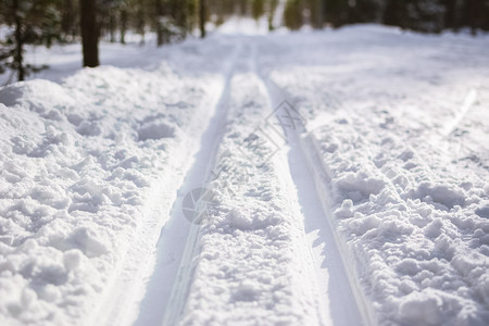 冬季雪地风光图片