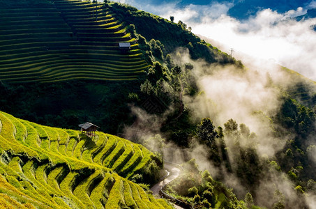 马来西亚越南水稻田MuCangChaiYenBaiMuChai的露台田上用晨雾MuChai为越南西北地区的收获做准备颜白场地图片